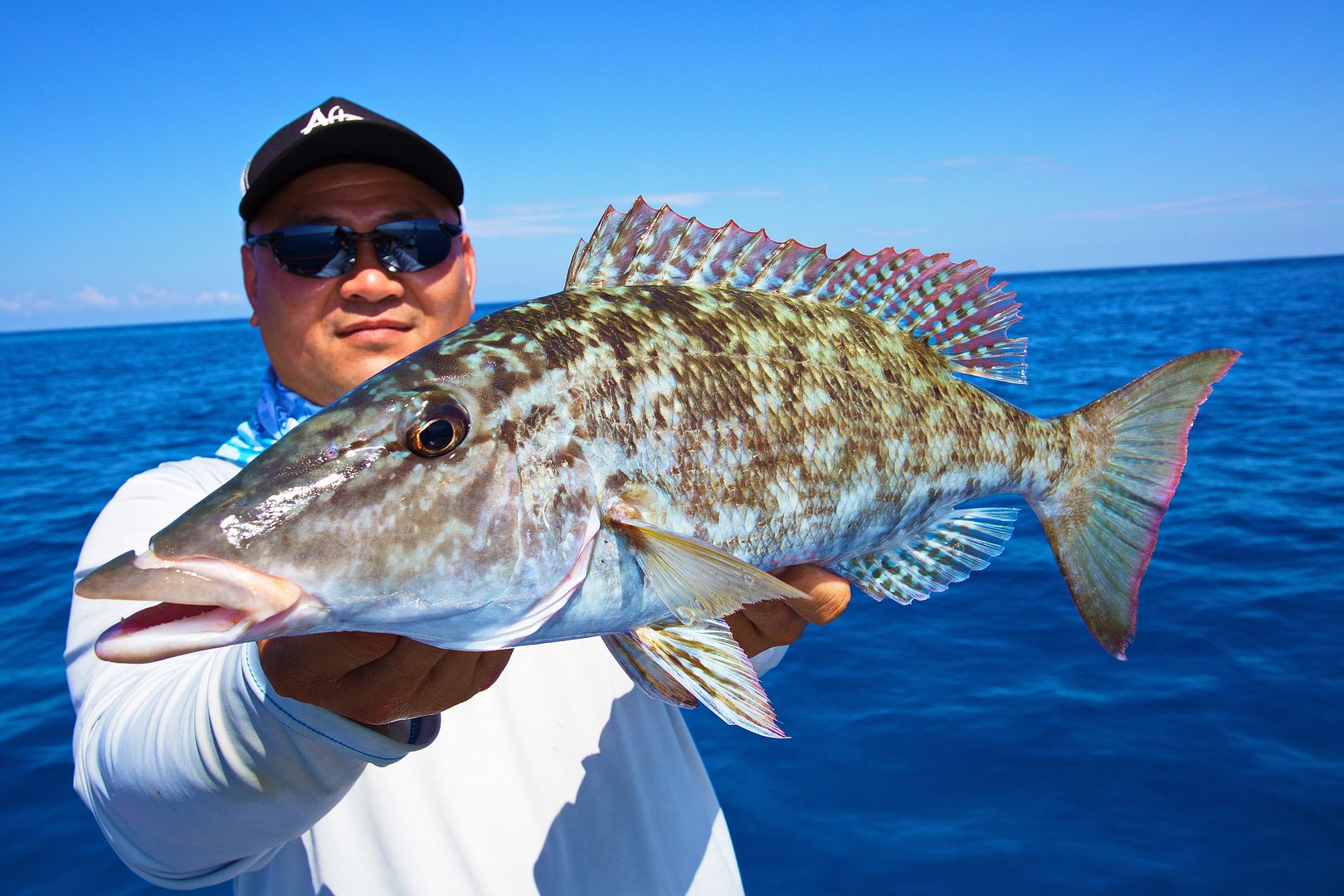 Sambit Island, Indonesia July 2015 ( Dogtooth Tuna ) Bloodydecks